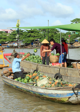 Travel to Vietnam, Private Tours & Tour Packages